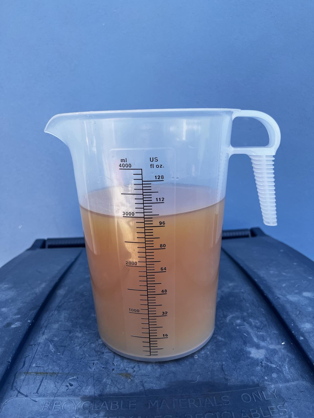 343663141_557516539668727_7129349912774781901_n