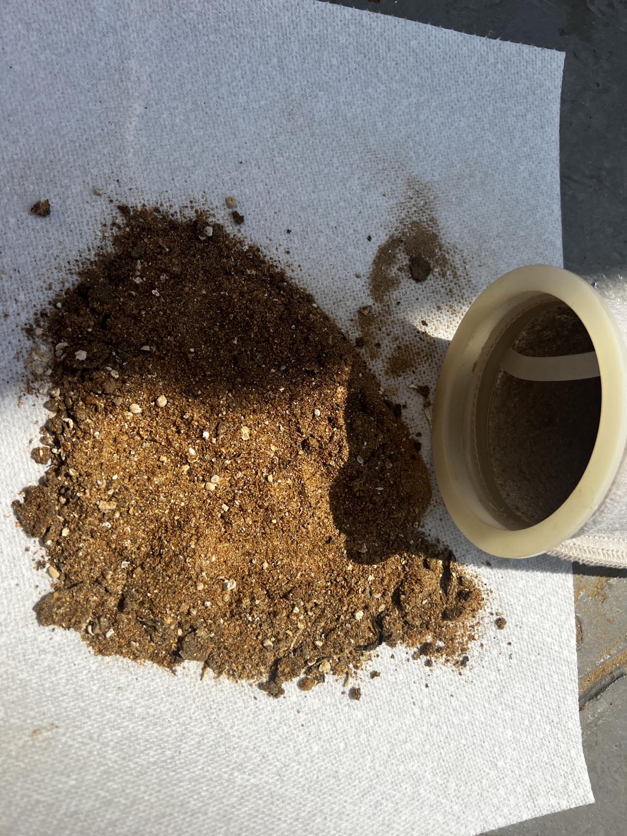 343677664_3225483741083273_1309363689642463106_n